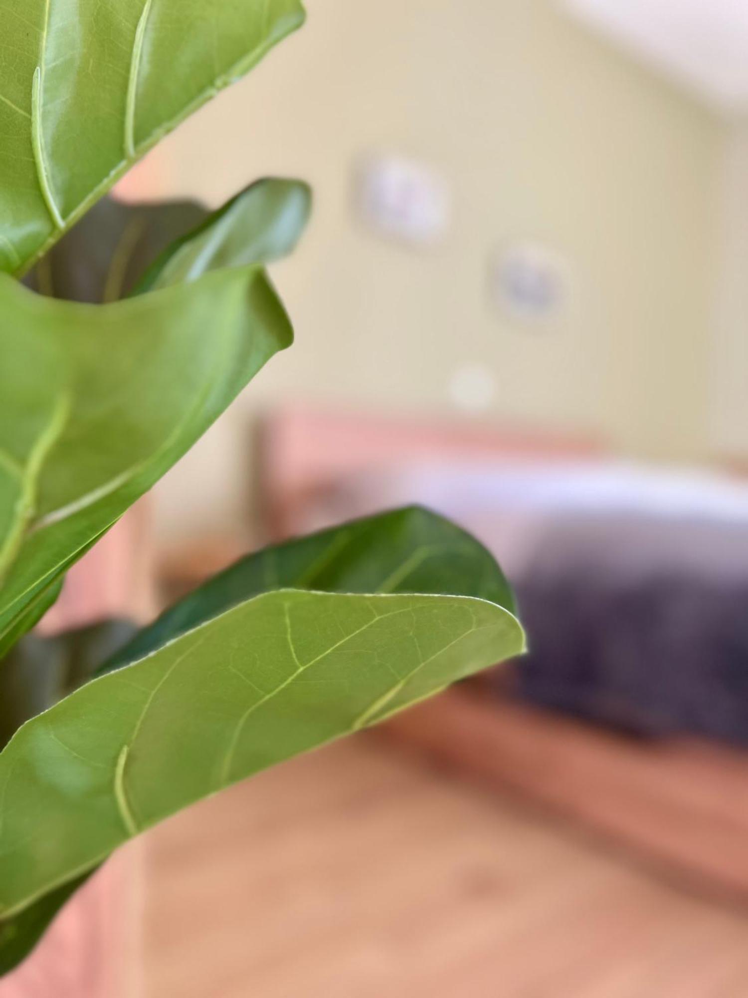 Edessa Woodland Retreat Apartman Kültér fotó